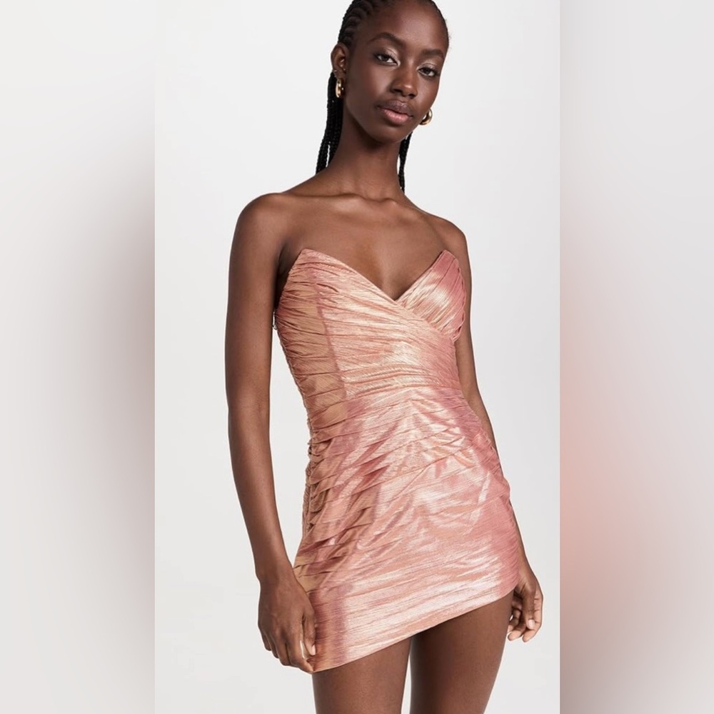 NWT retrofête Nala Dress - Small